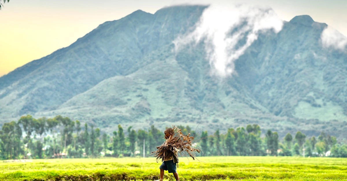 Комплексный анализ игровых механик слот-игры Sky Bounty